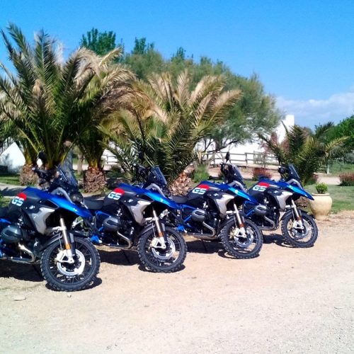 Motos aparcadas al lado de unas palmeras